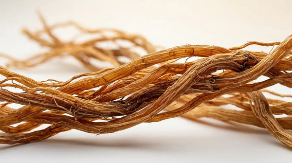 Panax Ginseng in Skincare: Benefits, Ginsenosides & The Science of Skin Radiance