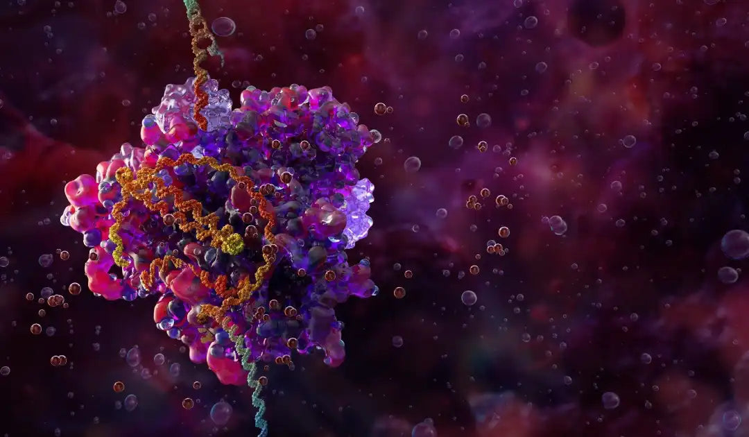 RISPR gene editing technology for skin disease and the future of genetic dermatology