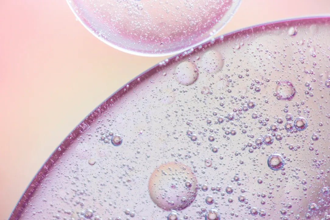 Ceramides for Skin: What They Are, How They Work & Why Your Barrier Needs Them | Boldpurity – ingredient hero