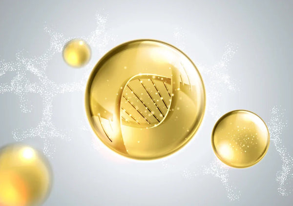 Coenzyme Q10 — The Skin-Familiar Antioxidant
