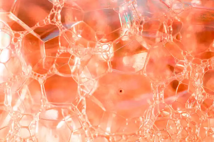 Collagen synthesis in skin showing collagen fibers and extracellular matrix structure