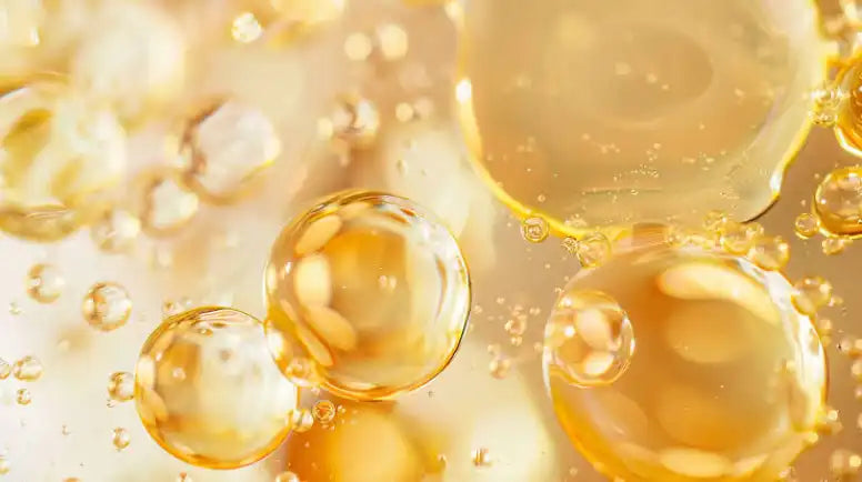 Collagen degradation in skin showing MMP activity, UV damage and photoaging