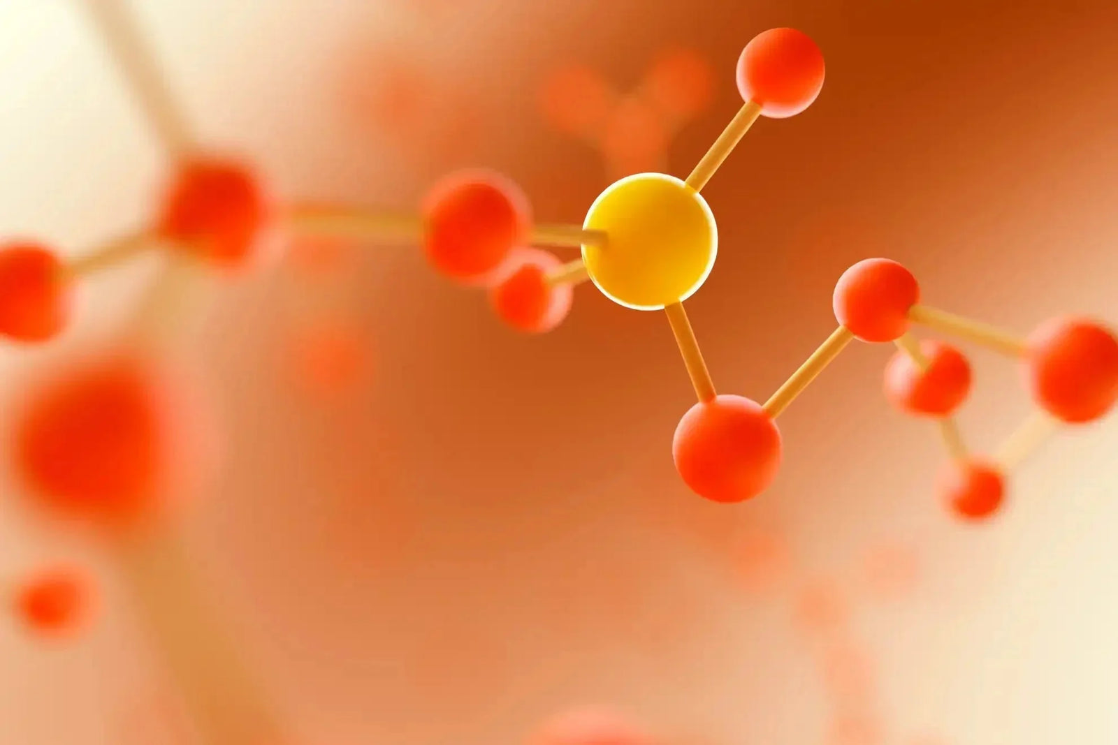 Ferulic Acid Benefits for Skin: CE Ferulic Science, Vitamin C & How to Use It – ingredient hero