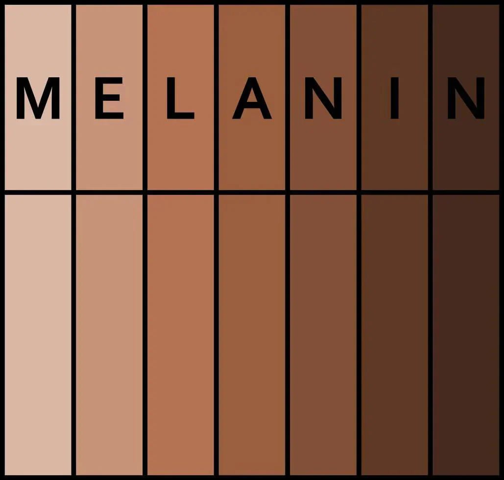 Melanogenesis Explained: How Skin Produces Melanin & What Controls It - Boldpurity Skincare