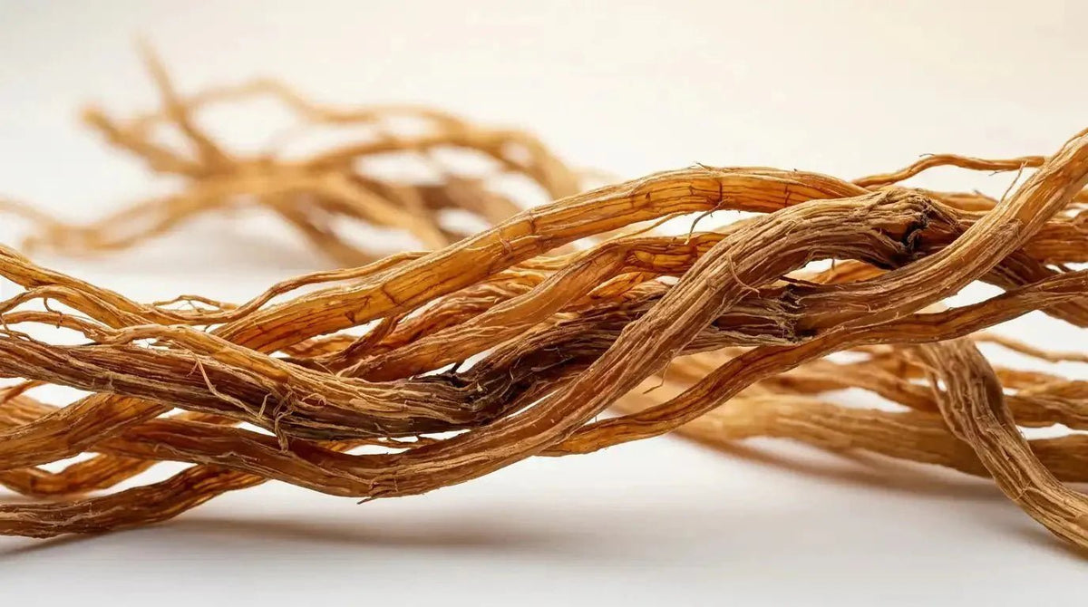 Panax Ginseng in Skincare: Benefits, Ginsenosides & The Science of Skin Radiance – ingredient hero