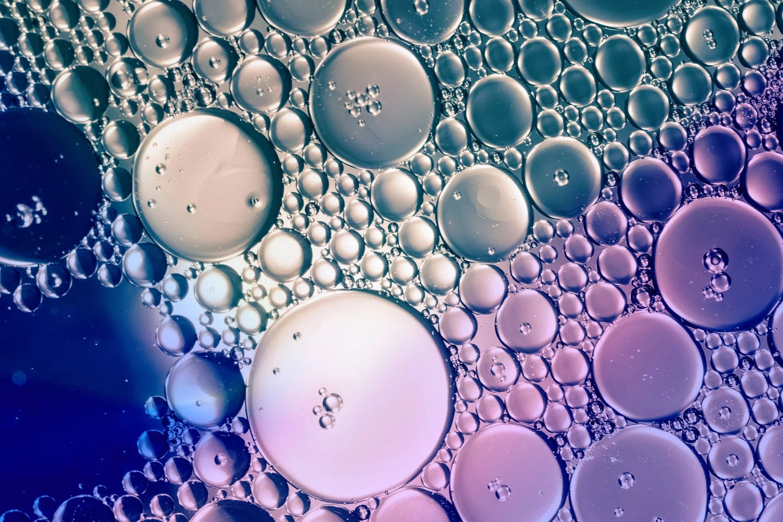 Polyglutamic Acid for Skin: What It Is, How It Works & How It Compares with Hyaluronic Acid | Boldpurity – ingredient hero