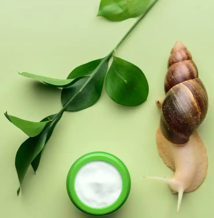 Snail mucin skincare ingredient shown with skincare serum for an evidence-based ingredient guide