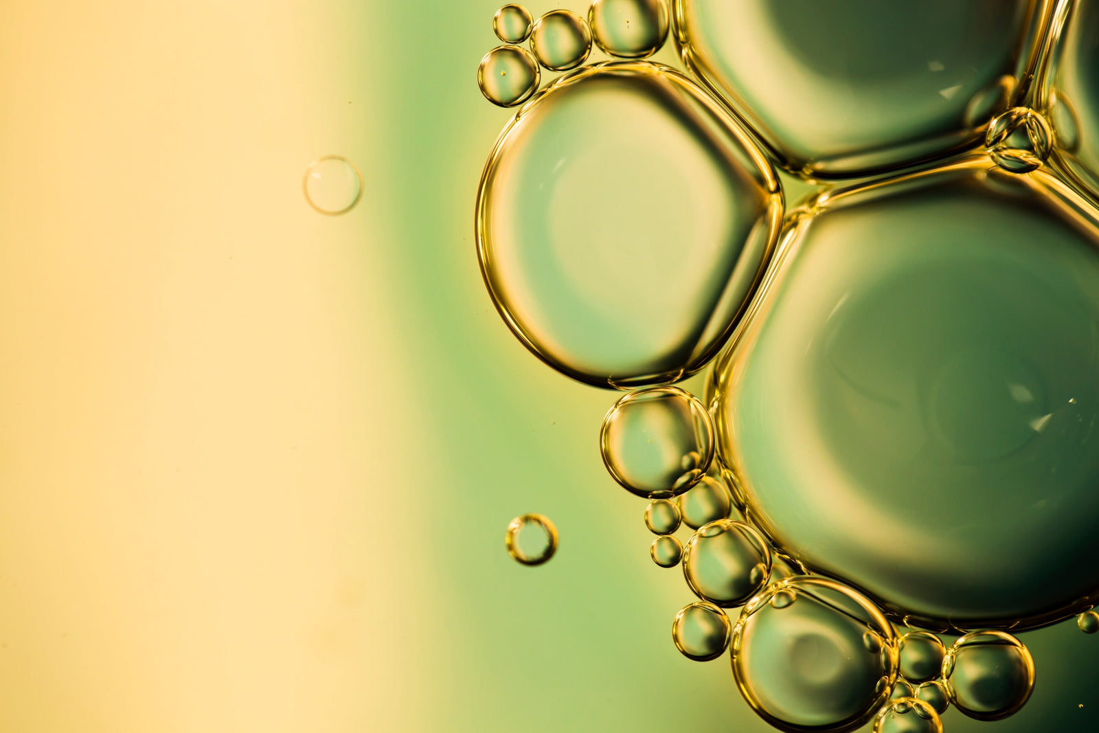 Squalane for Skin: What It Is, How It Works & Why Your Skin Already Makes It | Boldpurity – ingredient hero