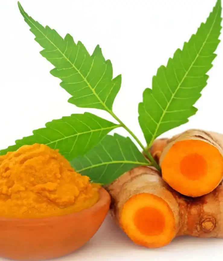 Turmeric and neem for skin: Indian skincare heritage compared with modern cosmetic science