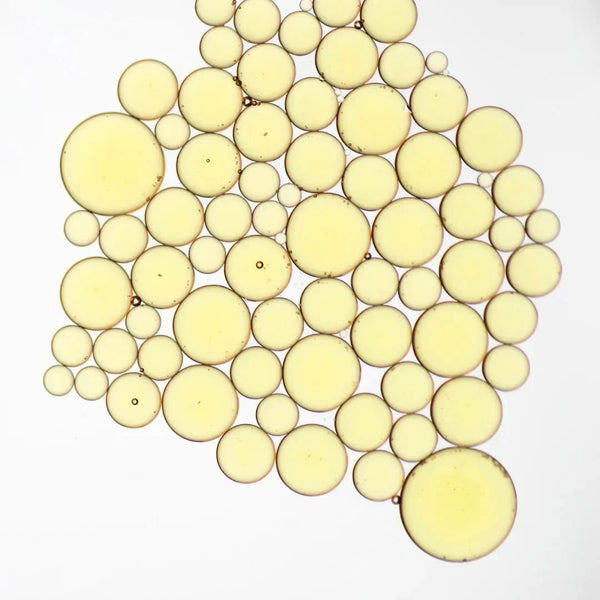 Vitamin F in Skincare — The Barrier-Loving Lipid